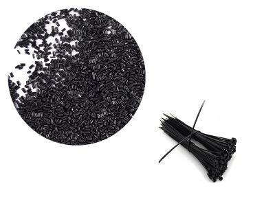 2023年第三十屆色母粒行業(yè)學(xué)術(shù)交流會圓滿落幕?。?！