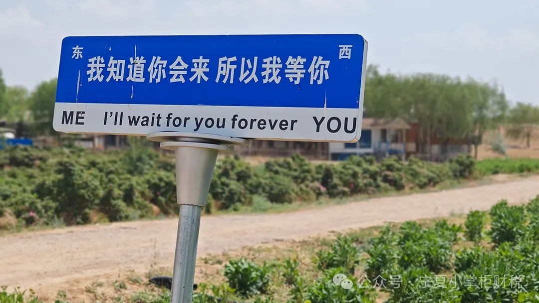 工商注冊,代理記賬,企業(yè)稅籌,審計(jì)報(bào)告,資質(zhì)代辦