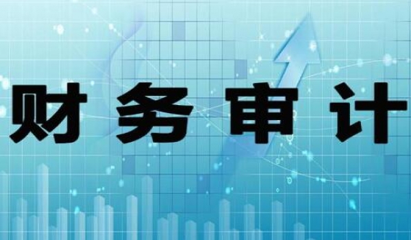 財(cái)務(wù)審計(jì)