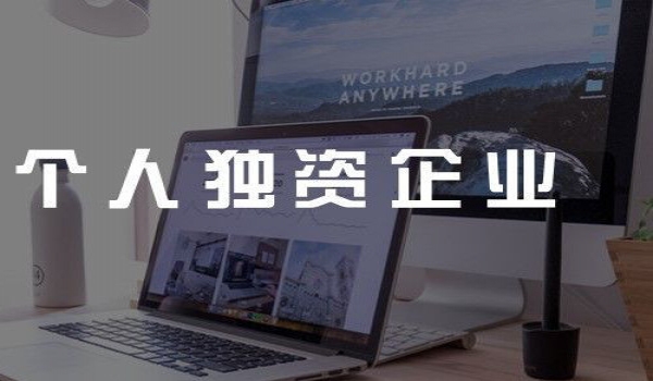 個人獨自企業(yè)